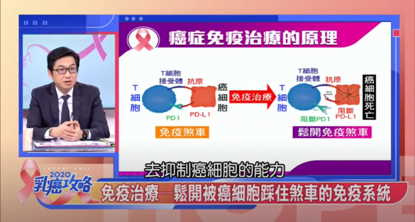 乳癌免疫治療的原理